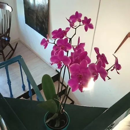 Mariangela Artist's Apartament